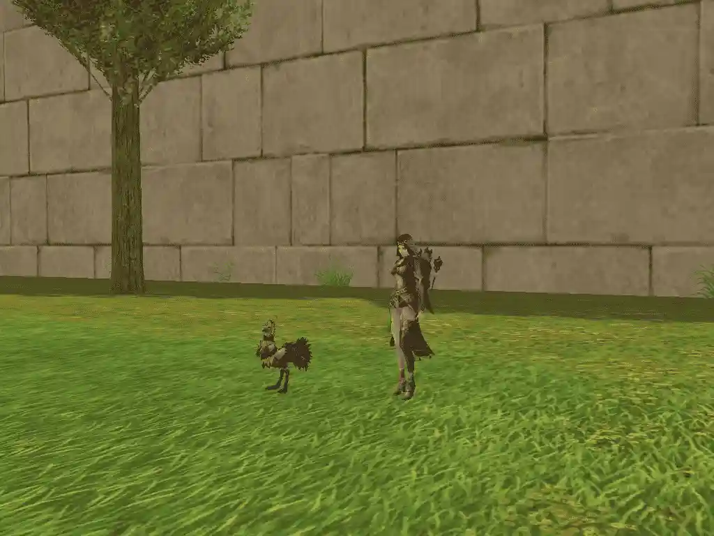 Ostrich_P.webp